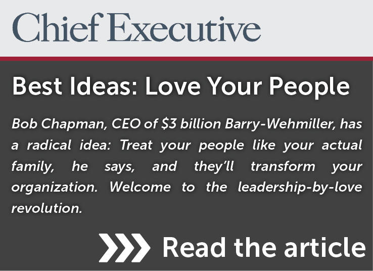 Chief Executive Article